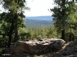 3378 Windy Ln #139, Heber, AZ 85928