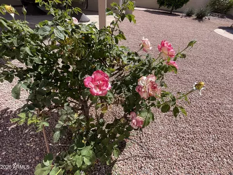 4377 E Coolbrook Ave, Phoenix, AZ 85032 photo 41
