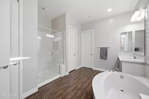 Bath - 862 E Hampton Ln, Gilbert, AZ 85295 photo 3 of 3