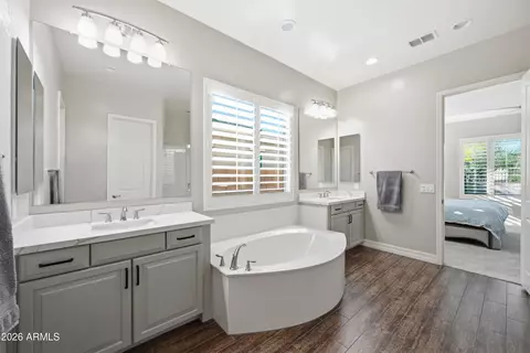 Bath - 862 E Hampton Ln, Gilbert, AZ 85295 photo 2 of 3