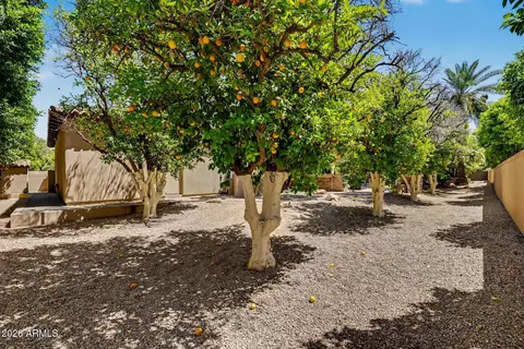 Exterior - 3937 E Menlo Cir, Mesa, AZ 85215 photo 6 of 22