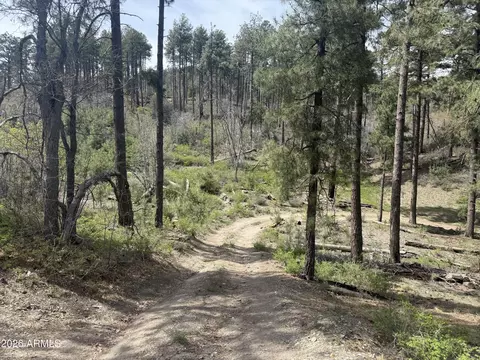 00 E Wild Flower Rd #-, Crown King, AZ 86343