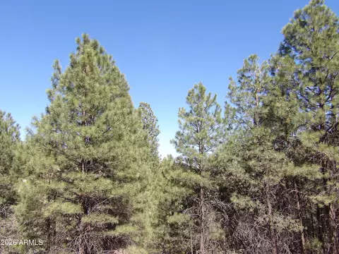 1601 Moqui Dr #77, Happy Jack, AZ 86024
