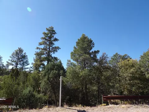 3642 Pinehurst Dr #169, Happy Jack, AZ 86024