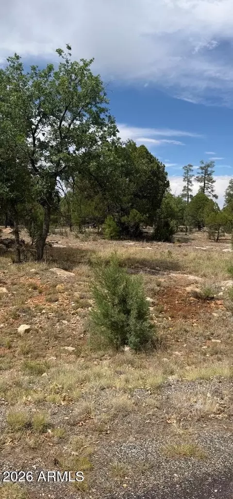 2989 Robin Ln #0, Happy Jack, AZ 86024