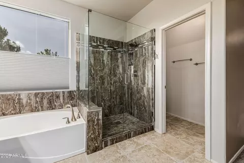 Bath - 9348 E Milagro Ave, Mesa, AZ 85209 photo 2 of 5