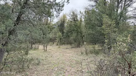 117 N Rifle Barrel Rd #41, Young, AZ 85554