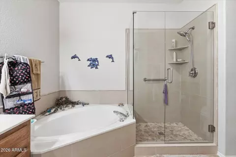 Bath - 11068 E Kilarea Ave #165, Mesa, AZ 85209 photo 3 of 4
