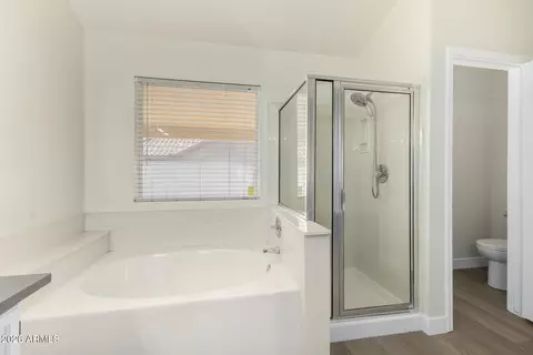 Bath - 6565 E Quartz St, Mesa, AZ 85215 photo 2 of 3