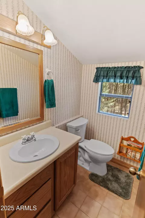 Bath - 3910 Larson Loop, Forest Lakes, AZ 85931 photo 3 of 4