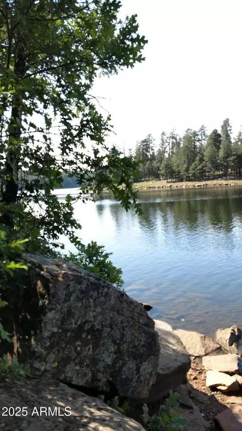 View/Area - 3910 Larson Loop, Forest Lakes, AZ 85931 photo 1 of 1