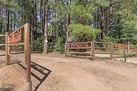 Other - 3910 Larson Loop, Forest Lakes, AZ 85931 photo 23 of 24