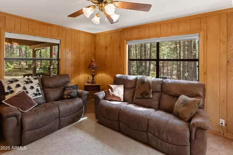 Other - 3910 Larson Loop, Forest Lakes, AZ 85931 photo 13 of 24