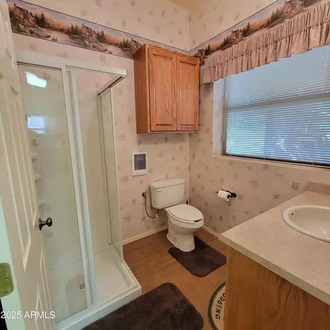 Bath - 3910 Larson Loop, Forest Lakes, AZ 85931 photo 4 of 4