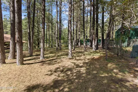 Exterior - 3910 Larson Loop, Forest Lakes, AZ 85931 photo 10 of 12