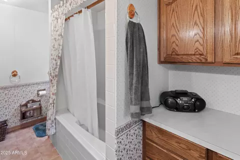 Bath - 3910 Larson Loop, Forest Lakes, AZ 85931 photo 2 of 4