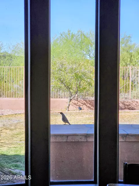Other - 1428 E Breezy Ct, Phoenix, AZ 85086 photo 1 of 9