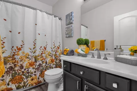Bath - 3917 E Carter Dr, Phoenix, AZ 85042 photo 2 of 2