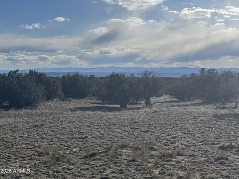 lot215 Woodland Valley Rnch #215, Saint Johns, AZ 85936