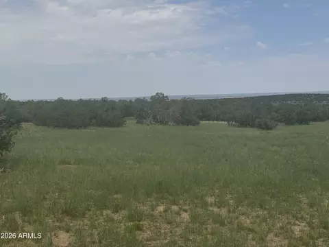 lot215 Woodland Valley Rnch #215, Saint Johns, AZ 85936