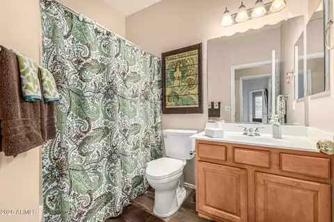 Bath - 1271 E Canyon Creek Dr, Gilbert, AZ 85296 photo 4 of 5