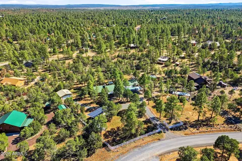 View/Area - 3121 Cedar Dr, Overgaard, AZ 85933 photo 5 of 6