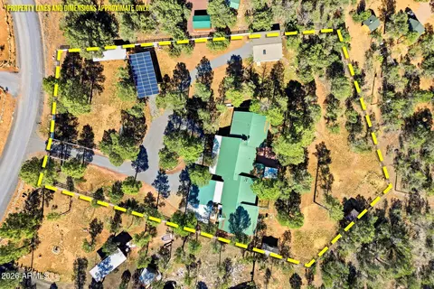View/Area - 3121 Cedar Dr, Overgaard, AZ 85933 photo 6 of 6