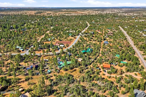 View/Area - 3121 Cedar Dr, Overgaard, AZ 85933 photo 3 of 6