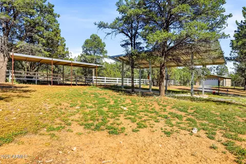 Exterior - 3121 Cedar Dr, Overgaard, AZ 85933 photo 9 of 9