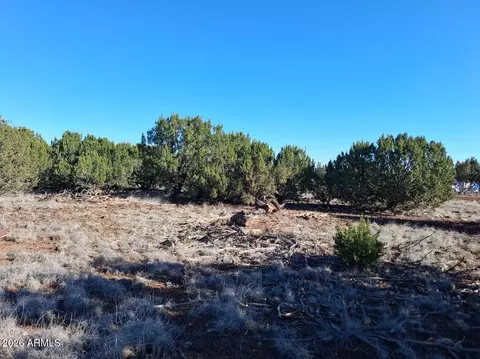 1298 Geronimo Dr #-, Show Low, AZ 85901
