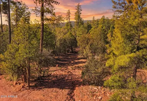 0 Fawn Dr #5, Pine, AZ 85544