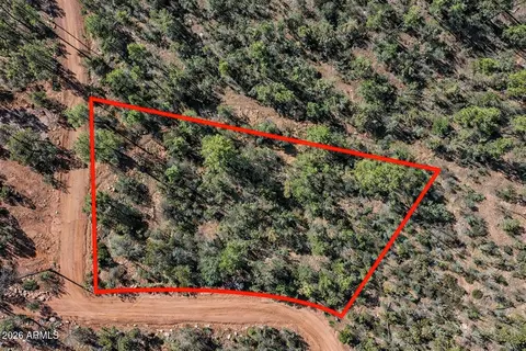 0 Fawn Dr #5, Pine, AZ 85544 photo 4