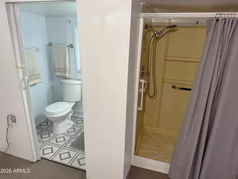 Bath - 5832 E Colby St, Mesa, AZ 85205 photo 3 of 3
