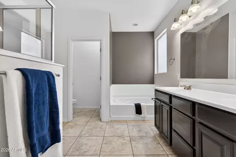 Bath - 3849 E Morrison Ranch Pkwy, Gilbert, AZ 85296 photo 1 of 5