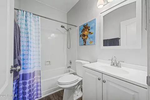 Bath - 15344 W Memory Ln, Surprise, AZ 85374 photo 4 of 4