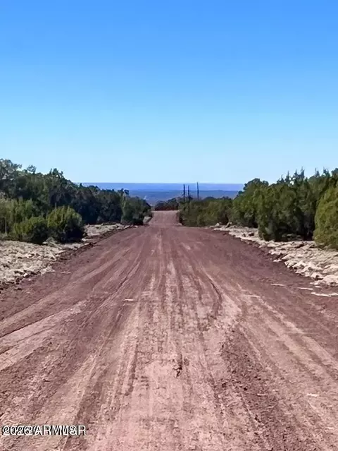 tbd Co Rd 8307 -- #LOT 100, Concho, AZ 85924