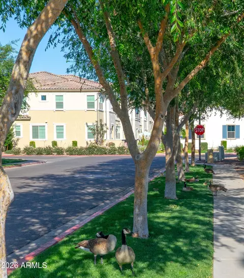 Other - 2638 S Key Biscayne Dr, Gilbert, AZ 85295 photo 9 of 9