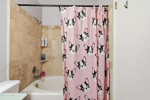 Bath - 3302 E Aire Libre Ave #102, Phoenix, AZ 85032 photo 3 of 3
