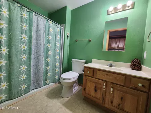 Bath - 2214 Sitgreaves Dr, Overgaard, AZ 85933 photo 2 of 2