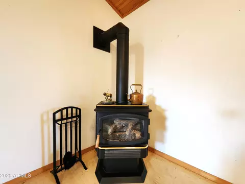 Other - 2214 Sitgreaves Dr, Overgaard, AZ 85933 photo 5 of 11