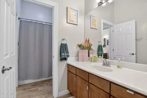 Bath - 1333 N Cliffside Dr, Gilbert, AZ 85234 photo 10 of 10