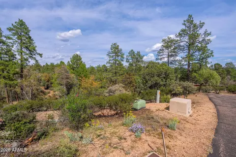 3008 E Arrow Pt #232, Payson, AZ 85541 photo 4