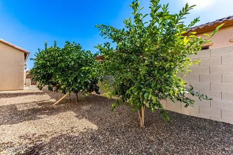 Exterior - 2046 N Steele Cir, Mesa, AZ 85207 photo 19 of 19