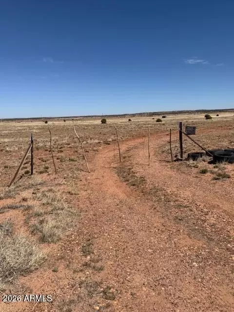 1045 Concho Hwy #157 & 156, Concho, AZ 85924