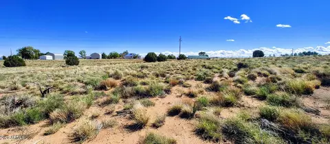 1190 S Haystack Rd #68, Taylor, AZ 85939 photo 5