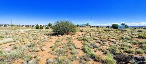 1190 S Haystack Rd #68, Taylor, AZ 85939 photo 6
