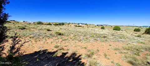 1190 S Haystack Rd #68, Taylor, AZ 85939 photo 3