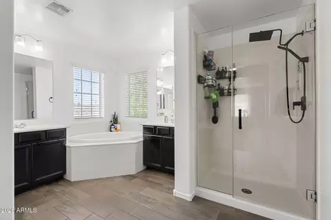 Bath - 735 E Gary Ln, Phoenix, AZ 85042 photo 1 of 3