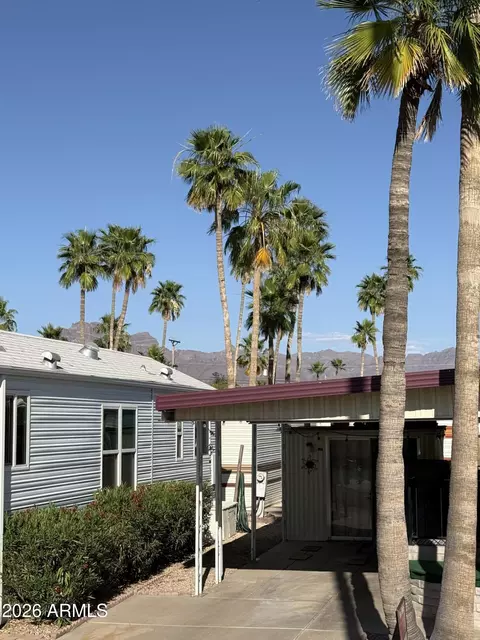 1108 S Shawnee Dr #1108, Apache Junction, AZ 85119 photo 3