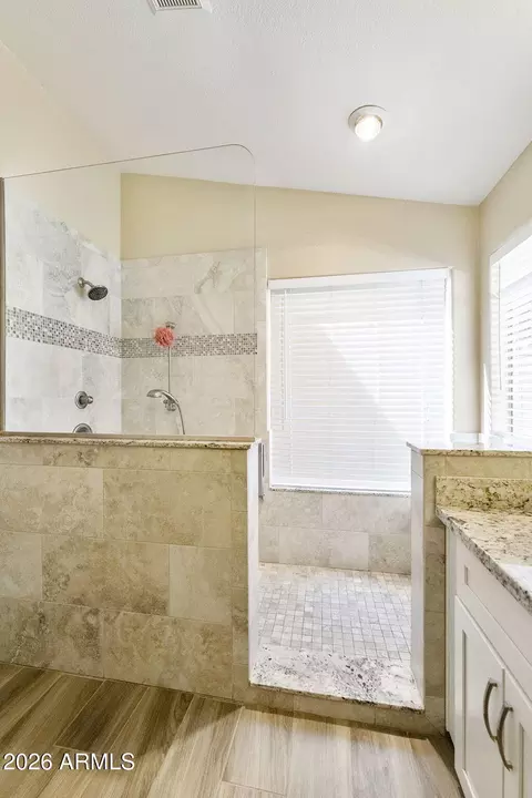 Bath - 1675 E Olive Ave, Gilbert, AZ 85234 photo 4 of 5